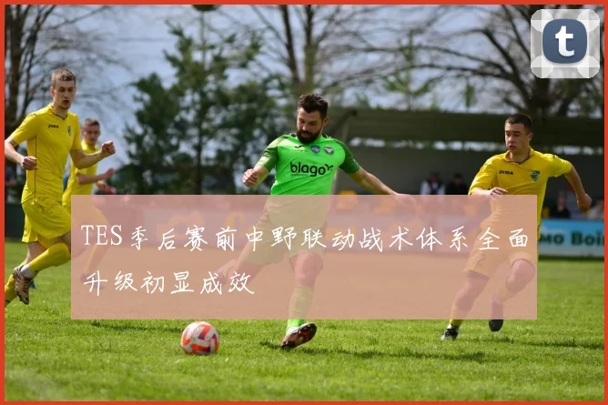 TES季后赛前中野联动战术体系全面升级初显成效